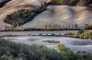 1° PREMIO TEMA TRENI - MUGNAI PAOLO